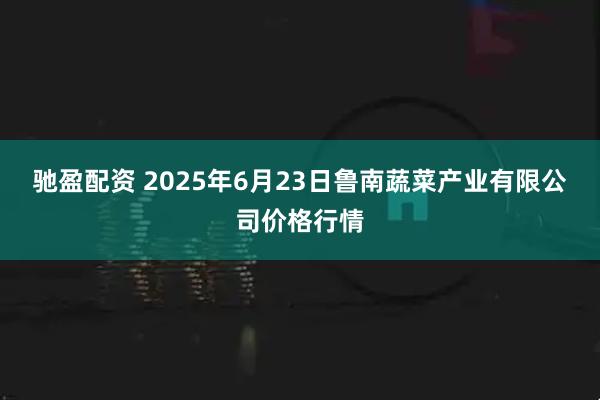 驰盈配资 2025年6月23日鲁南蔬菜产业有限公司价格行情