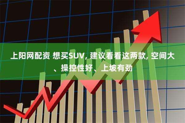 上阳网配资 想买SUV, 建议看看这两款, 空间大、操控性好、上坡有劲