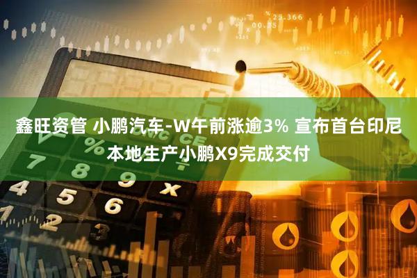 鑫旺资管 小鹏汽车-W午前涨逾3% 宣布首台印尼本地生产小鹏X9完成交付