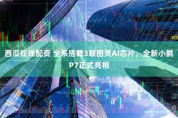 西瓜在线配资 全系搭载3颗图灵AI芯片，全新小鹏P7正式亮相